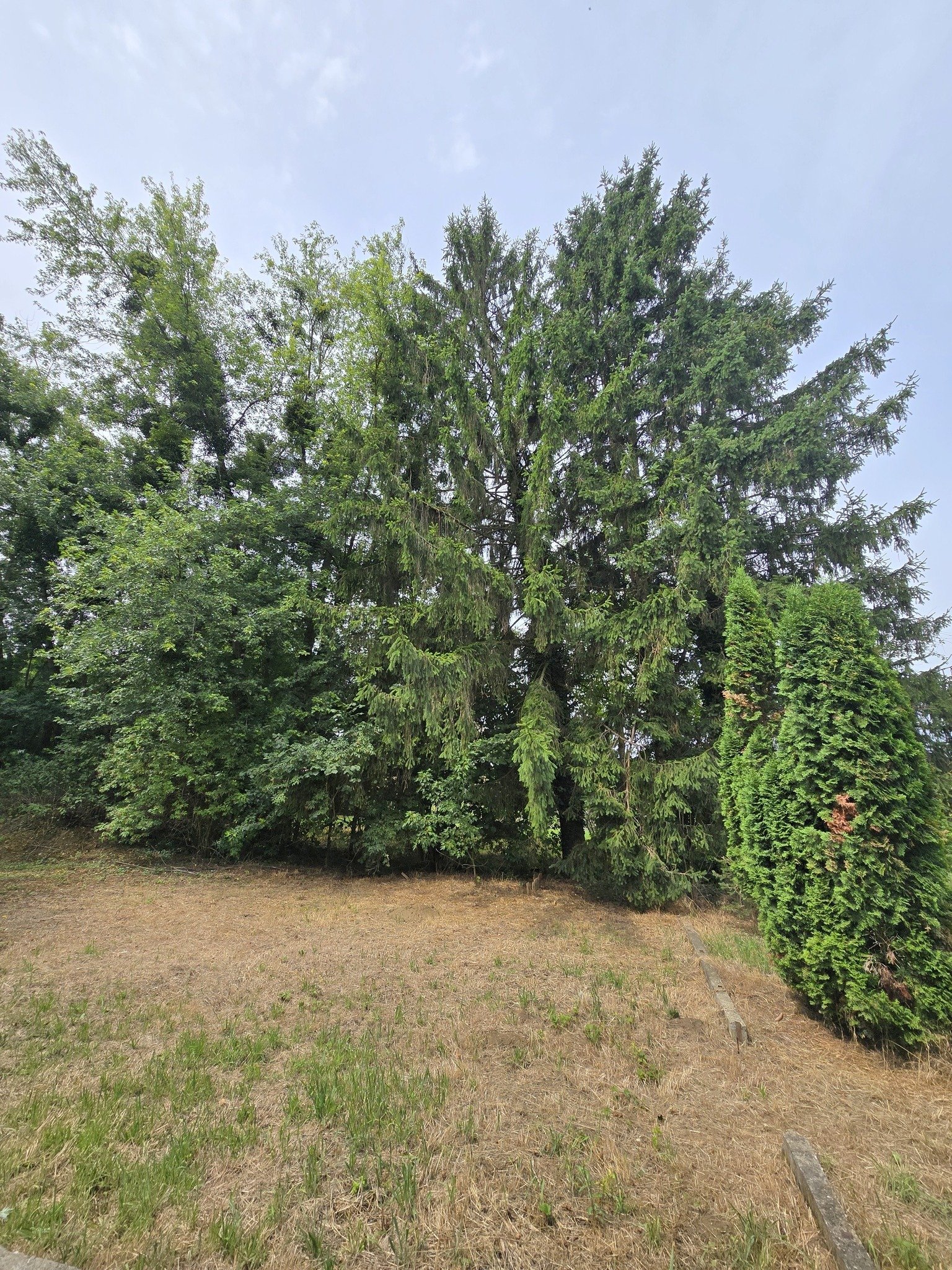 (BBA) Großes Familienhaus in schöner & ruhiger Lage – Pusztaszentlászló, Bild 21 von 22