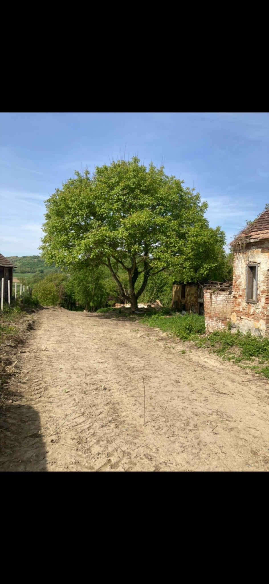 XXXXX – Nemesszentandrás, foto 5 van 9