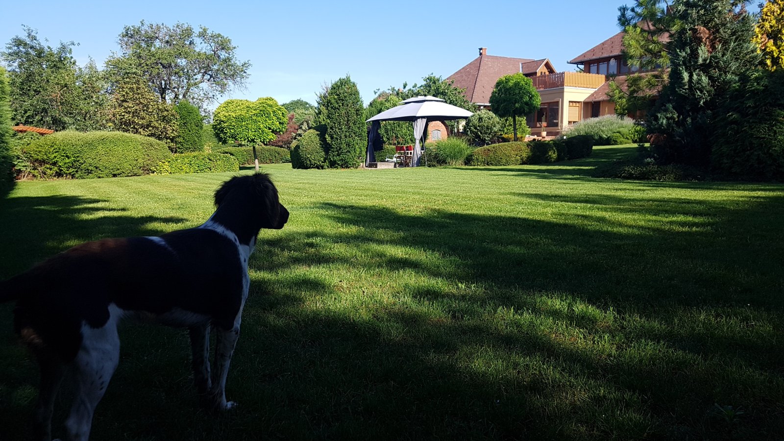 Luxe villa nabij de kust van het Balatonmeer – Cserszegtomaj, foto 3 van 60