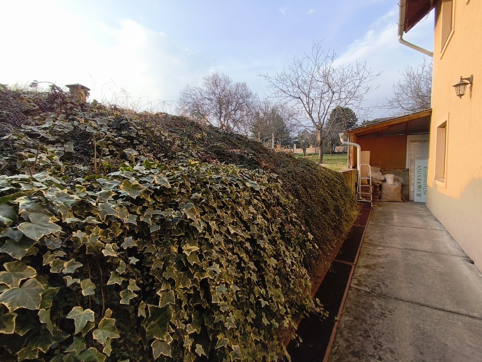 Luxe villa nabij de kust van het Balatonmeer – Cserszegtomaj, foto 49 van 60