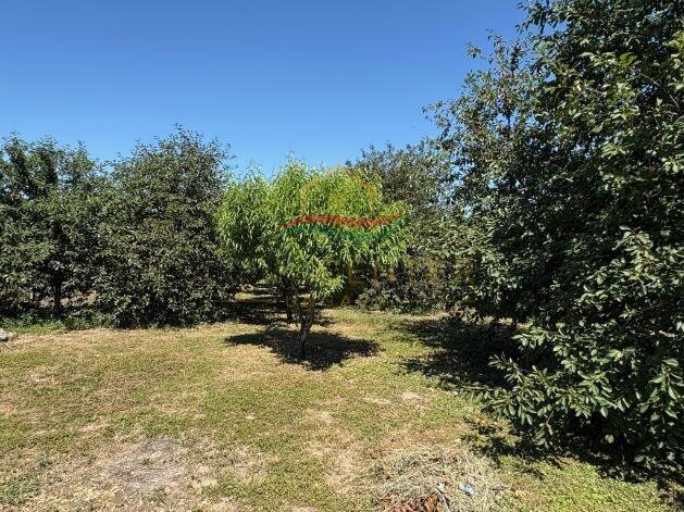 Gerenoveerde vrijstaande woning in een rustige, natuurlijke omgeving. – Dabronc, foto 17 van 21