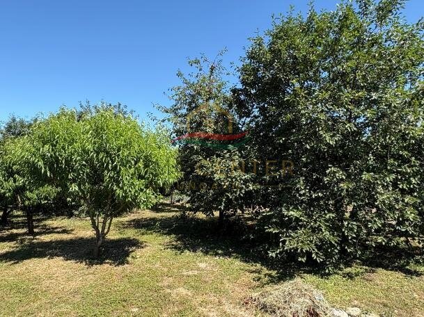 Gerenoveerde vrijstaande woning in een rustige, natuurlijke omgeving. – Dabronc, foto 18 van 21