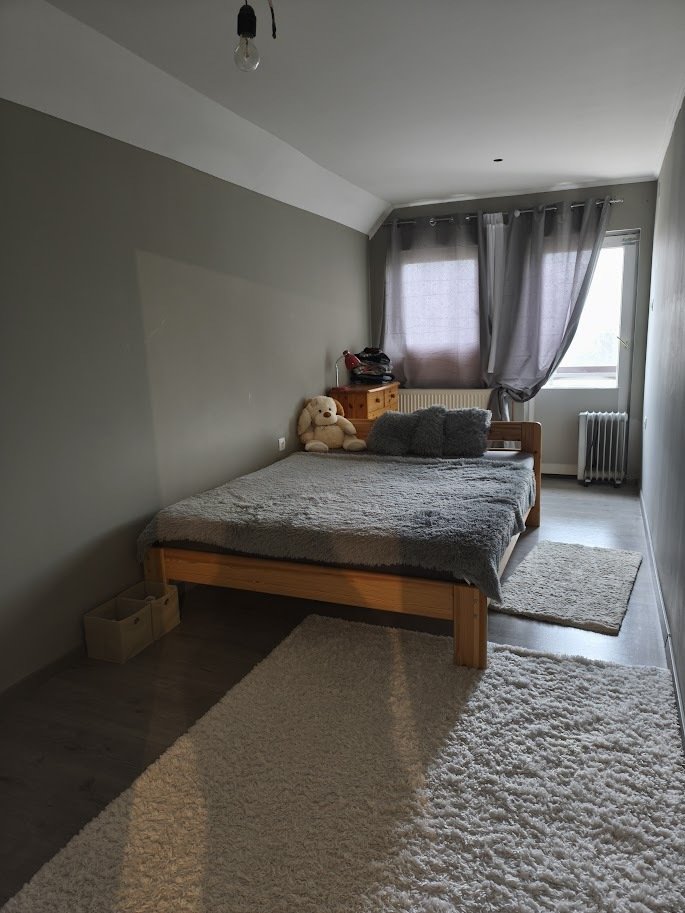 (AAA) Gerenoveerde eengezinswoning voor een groot gezin op een goede locatie – Böhönye, foto 11 van 28