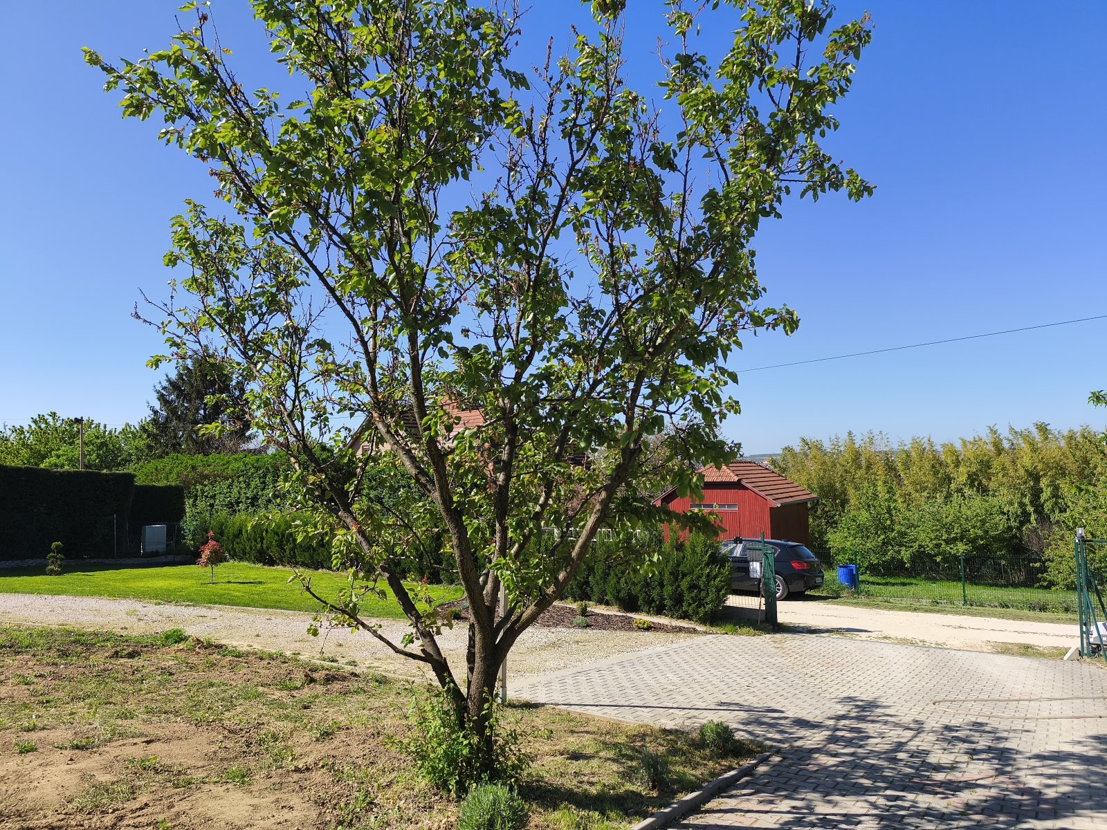 (AAA) Familienhaus mit parkähnlichem Grundstück in außergewöhnlich guter Lage – Cserszegtomaj, Bild 4 von 59