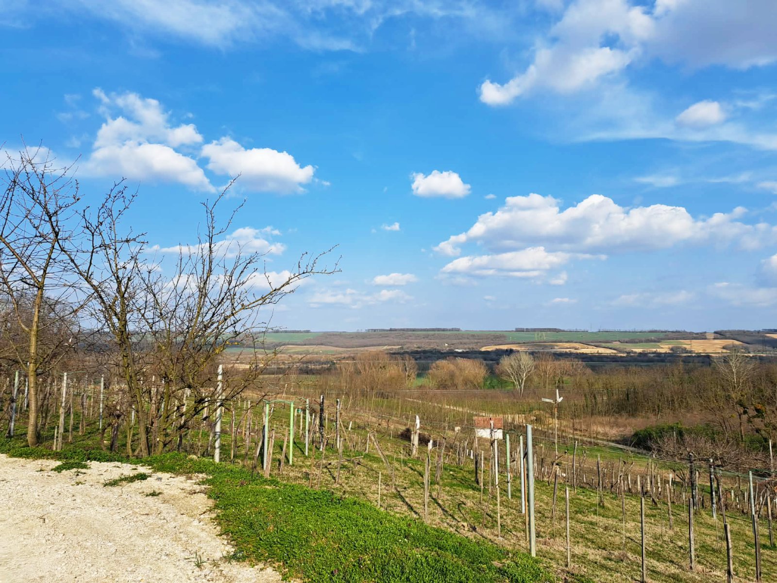 Vineyard house in a quiet location – Zalacsány, photo 20 of 20