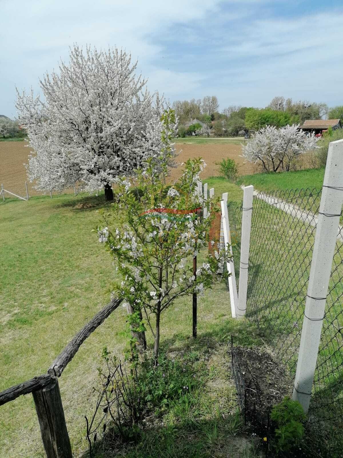 (AAA) Geräumiges Einfamilienhaus+ Einliegerwohnung in einer ruhigen, grünen Wohngegend – Lengyeltóti, Bild 57 von 63