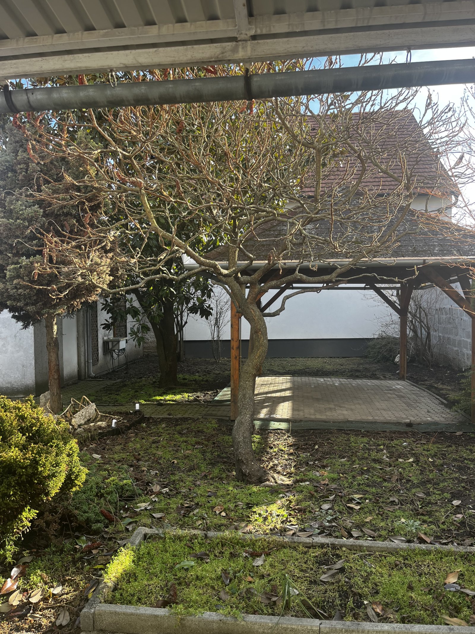 (ABA) Einfamilienhaus / Existenz  mit vielfältigen Nutzungsmöglichkeiten im schönen Tapolca, Bild 5 von 22