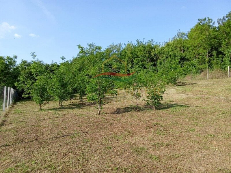 Békés élet az erdő szélén - felújított ház Somogy szívében. – Polány, 6/20. kép