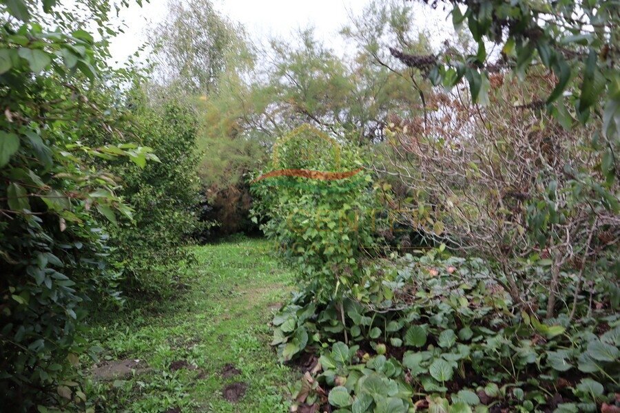 Ruim landhuis nabij Győr – Rábaszentmihály, foto 9 van 23