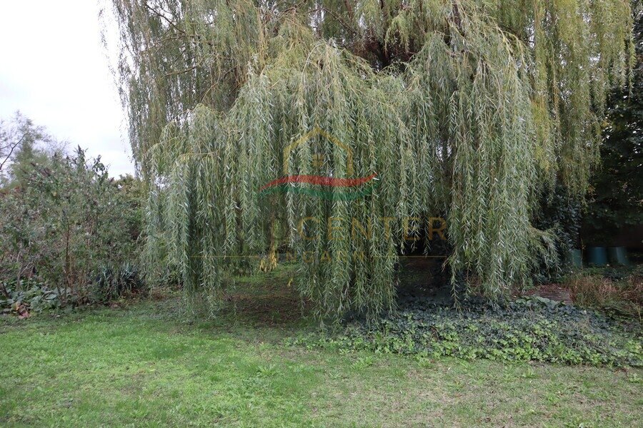 Ruim landhuis nabij Győr – Rábaszentmihály, foto 15 van 23