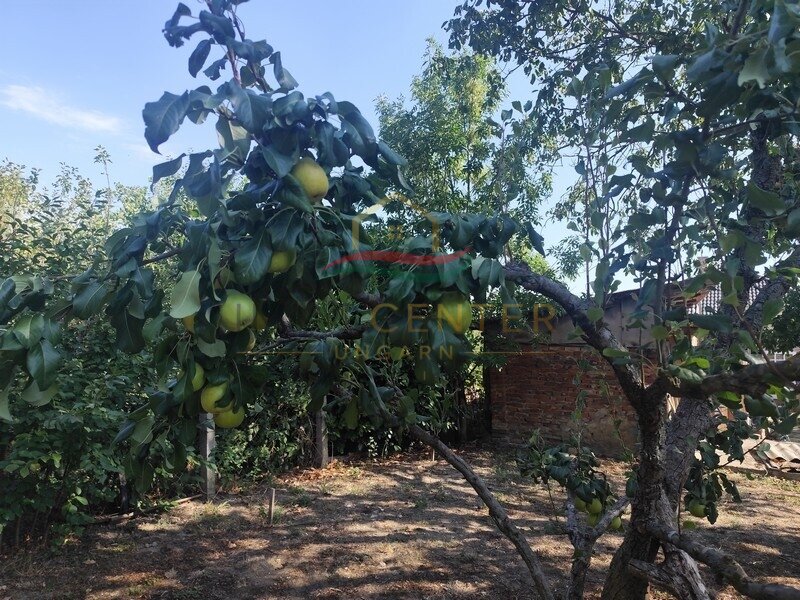Pak je koffers en verhuis - naar een rustig landhuis met een grote tuin en bos aan het einde van het perceel. – Pásztori, foto 12 van 17