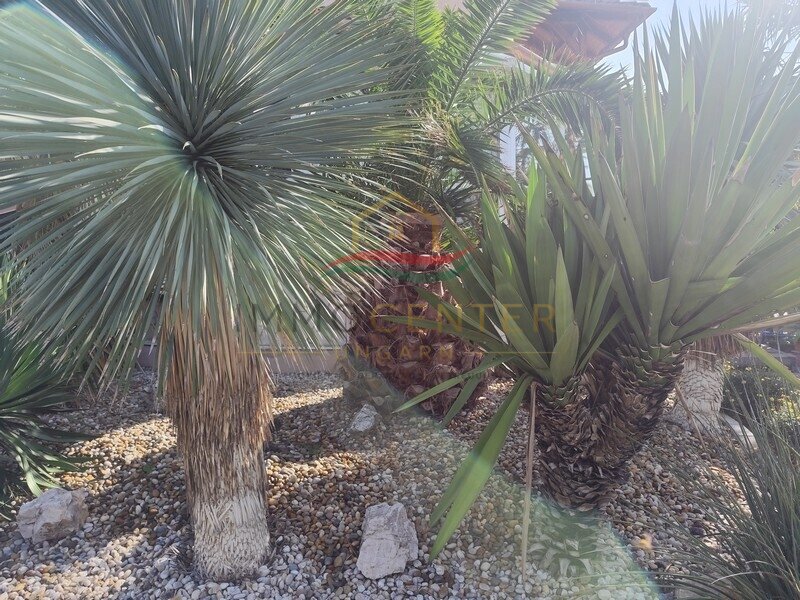 (AAA) Mediterranes Lebensgefühl in Balatongyörök - Palmengarten, Wintergarten und separater Gästebereich, 8/27. kép
