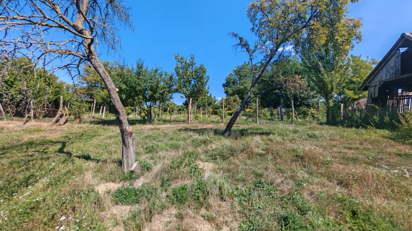 Álomingatlan Magyarországon: 25 800 m² telek, 180 m² lakótér - ideális lótartásra és önellátásra (AAA) – bei Somogyvár, 30/32. kép