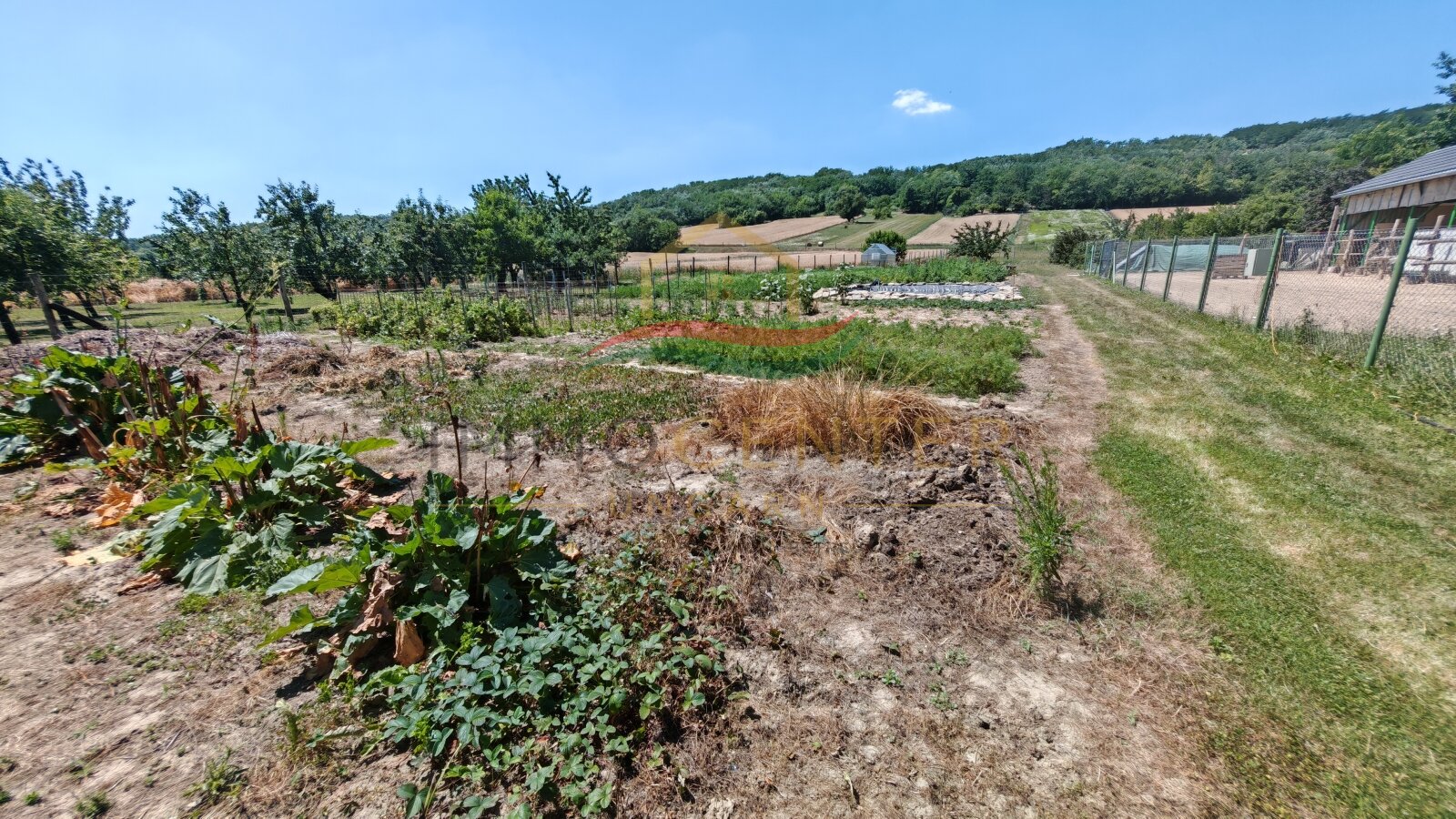 (BBA) Large country house with plenty of space & large plot for self-sufficient living – Bókaháza, photo 3 of 40