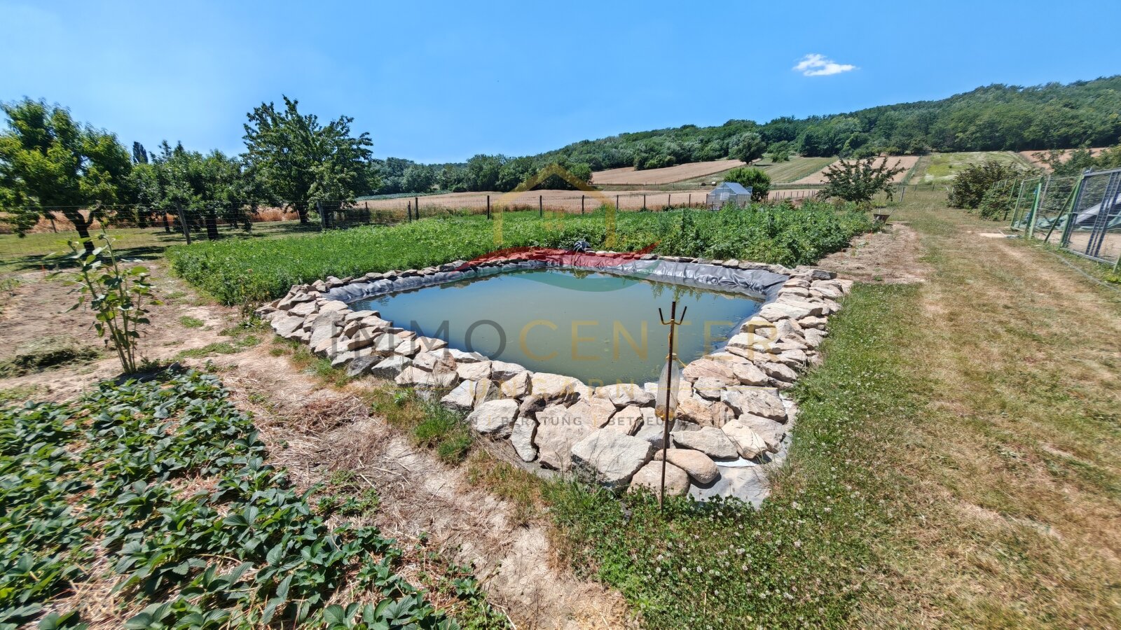 (BBA) Large country house with plenty of space & large plot for self-sufficient living – Bókaháza, photo 5 of 40
