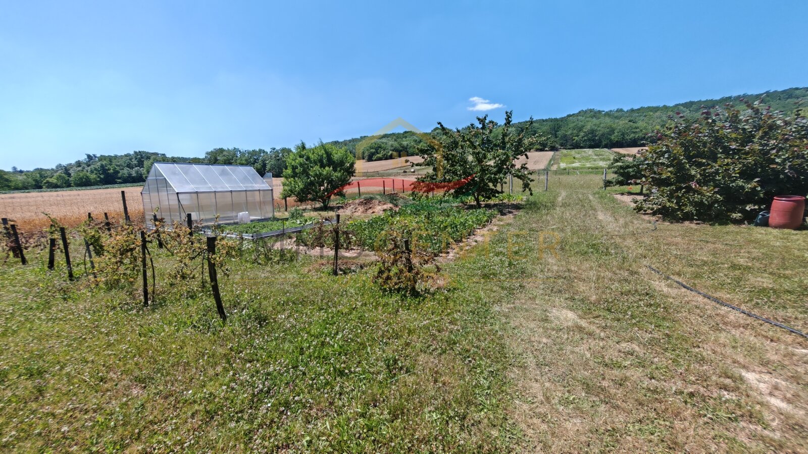 (BBA) Large country house with plenty of space & large plot for self-sufficient living – Bókaháza, photo 7 of 40