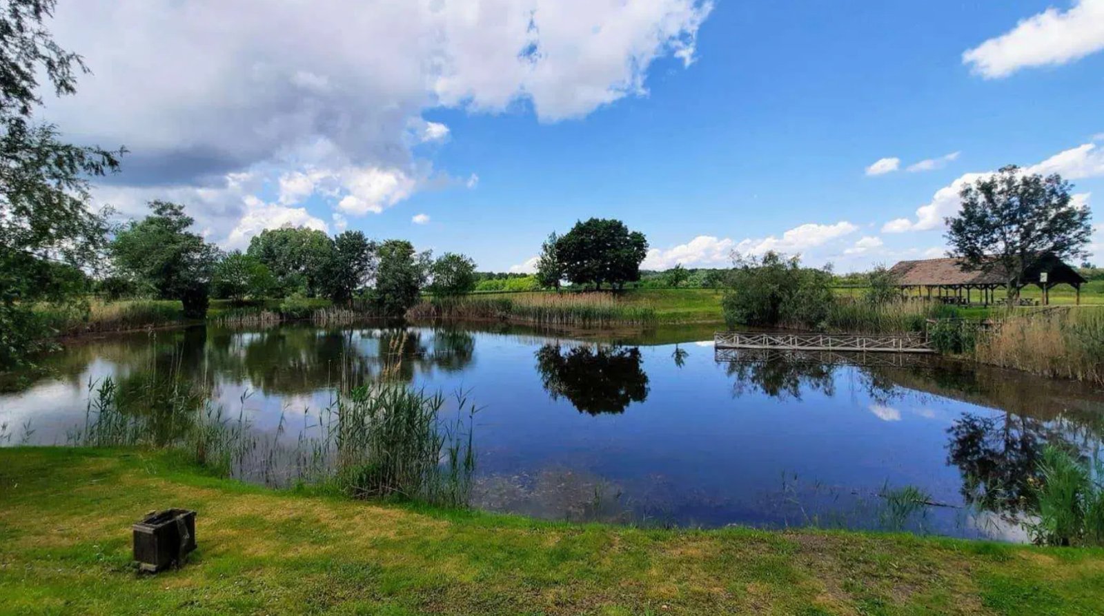 Groot perceel grond voor nieuwbouw en veeteelt op een rustige locatie. – Pötréte, foto 9 van 9