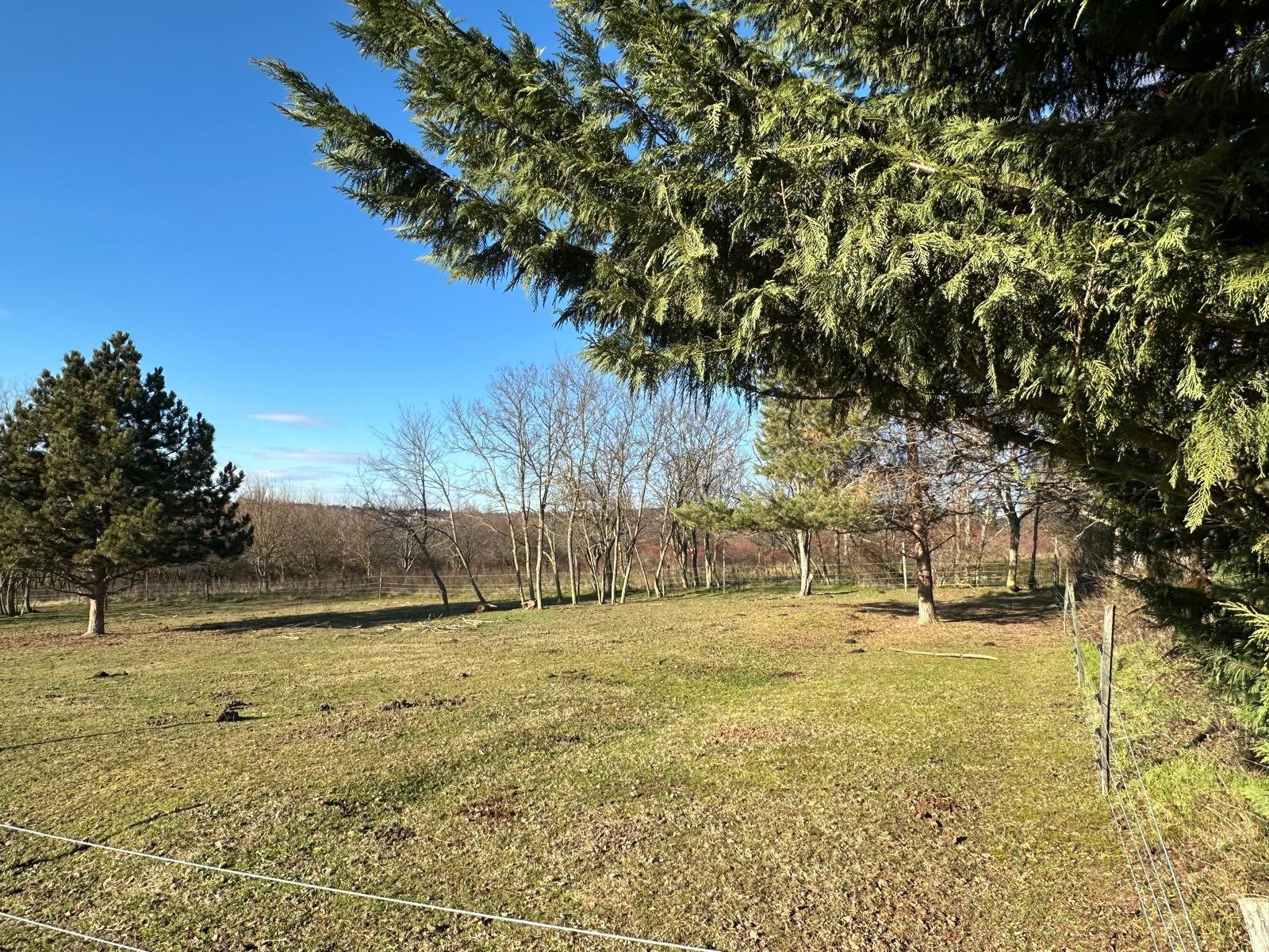 Twee percelen grond op een rustige en goed bereikbare locatie. – Cserszegtomaj, foto 2 van 4