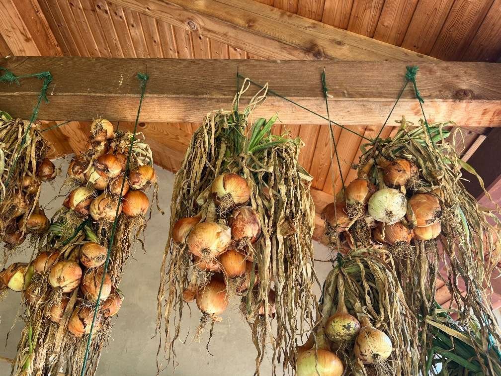 Natuurdorp Balaton: Verwezenlijk uw droom van zelfvoorzienend leven – bei Lengyeltóti, foto 43 van 59