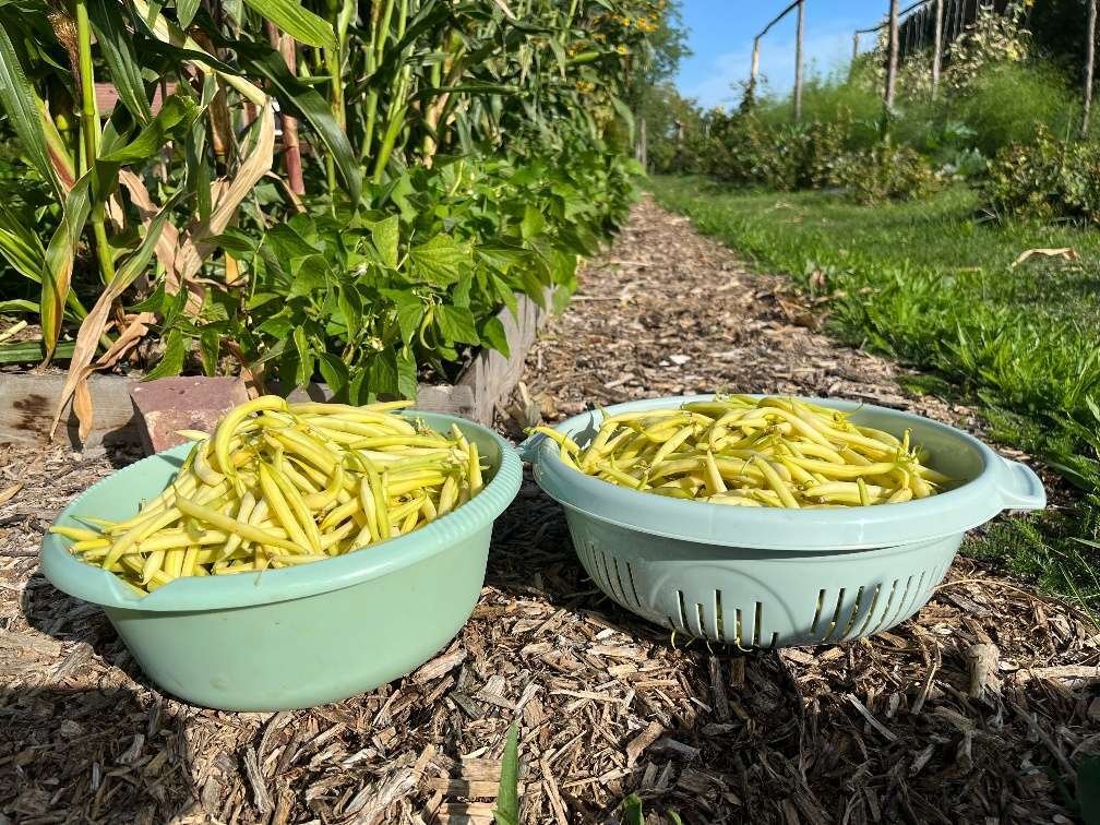 Natuurdorp Balaton: Verwezenlijk uw droom van zelfvoorzienend leven – bei Lengyeltóti, foto 50 van 59
