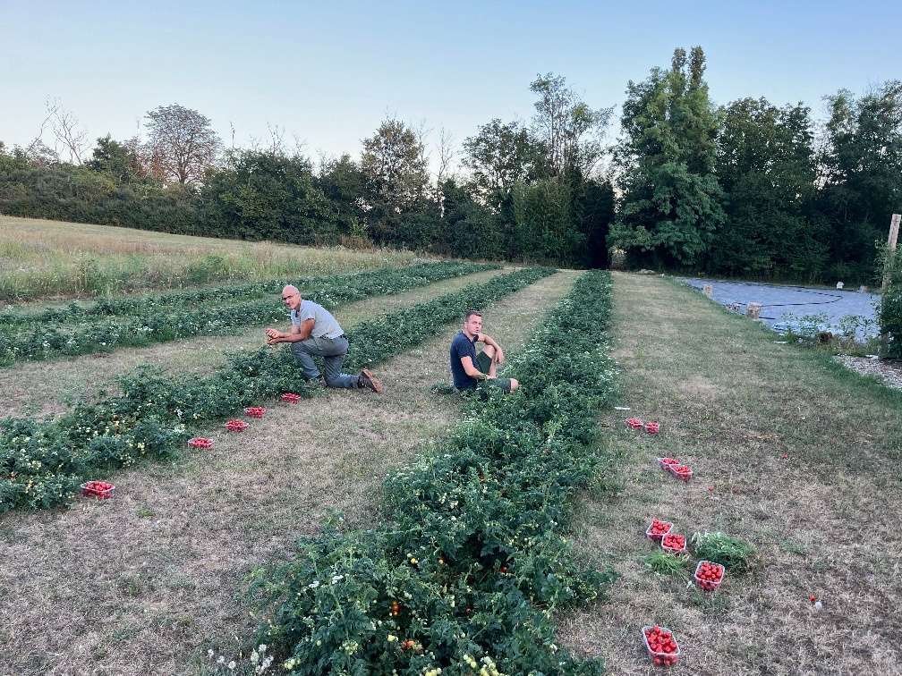 Natuurdorp Balaton: Verwezenlijk uw droom van zelfvoorzienend leven – bei Lengyeltóti, foto 53 van 59