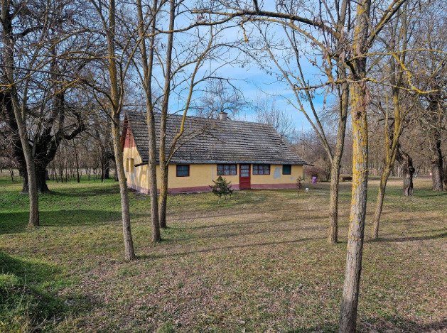 (BBA) Alter Bauernhof mit mehr als 8 Hektar Wald/Land – Csólyospálos, Bild 3 von 13
