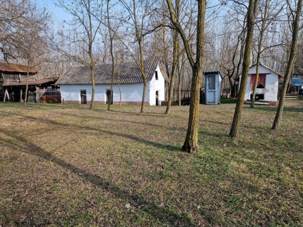 (BBA) Alter Bauernhof mit mehr als 8 Hektar Wald/Land – Csólyospálos, Bild 6 von 13