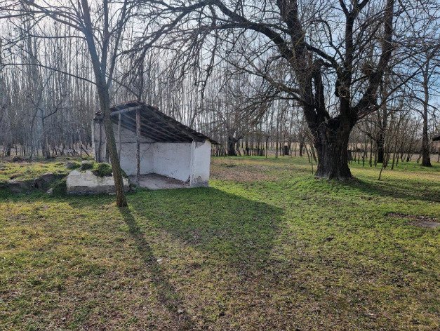 (BBA) Alter Bauernhof mit mehr als 8 Hektar Wald/Land – Csólyospálos, Bild 7 von 13