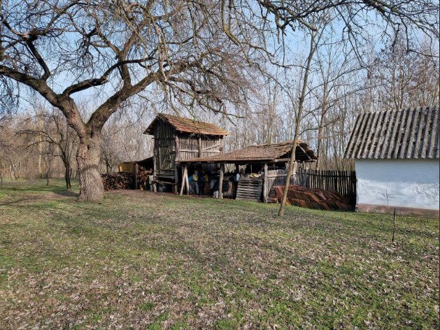 (BBA) Alter Bauernhof mit mehr als 8 Hektar Wald/Land – Csólyospálos, Bild 8 von 13
