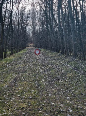 (BBA) Alter Bauernhof mit mehr als 8 Hektar Wald/Land – Csólyospálos, Bild 13 von 13