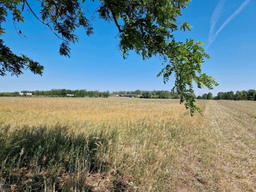 (ACA) Gut erhaltenes Bauernhaus im Orginalzustand und viel Grund – Csengele, Bild 12 von 20