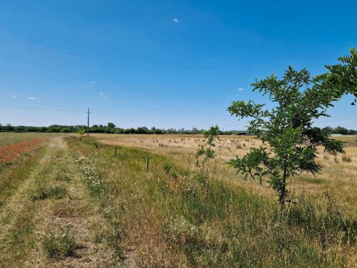 (ACA) Gut erhaltenes Bauernhaus im Orginalzustand und viel Grund – Csengele, Bild 13 von 20