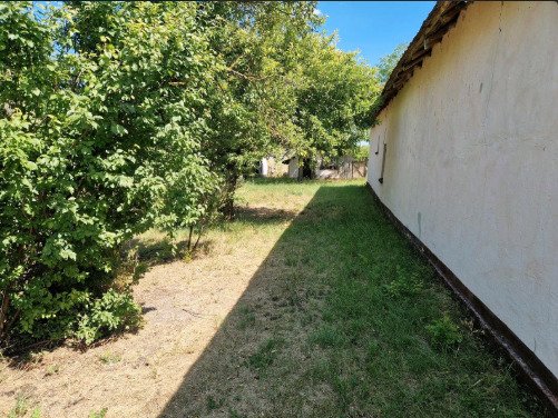 (ACA) Gut erhaltenes Bauernhaus im Orginalzustand und viel Grund – Csengele, Bild 17 von 20