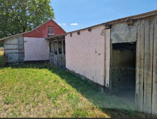 (ACA) Gut erhaltenes Bauernhaus im Orginalzustand und viel Grund – Csengele, Bild 18 von 20