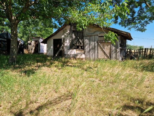 (ACA) Gut erhaltenes Bauernhaus im Orginalzustand und viel Grund – Csengele, Bild 20 von 20