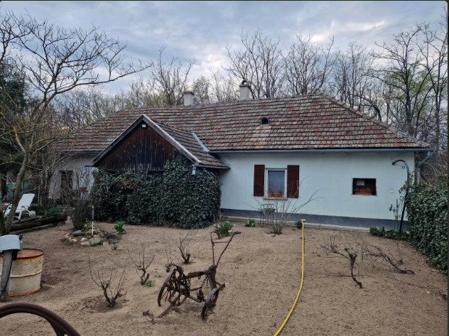 () Vadászház Dél-Magyarországon – Üllés, 2/20. kép