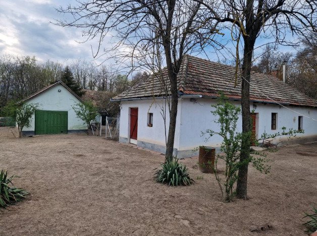 () Vadászház Dél-Magyarországon – Üllés, 3/20. kép