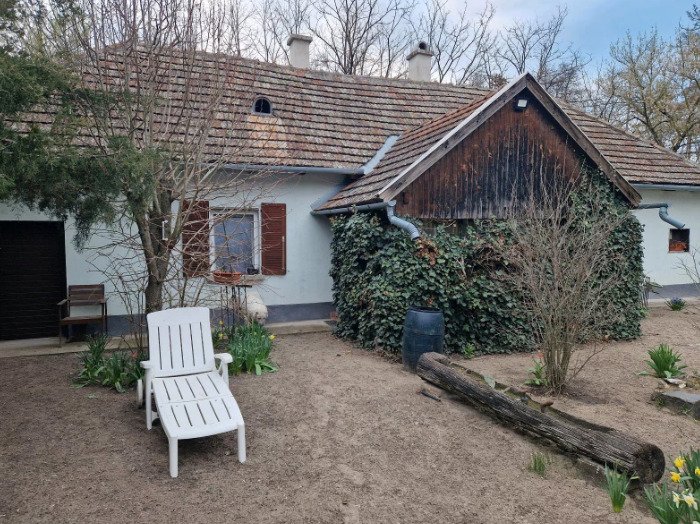 (ABA) Tanya - Vrijstaande boerderij voor veeteelt – Csengele, foto 2 van 20