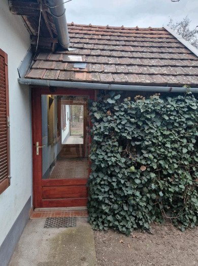(ABA) Tanya - Vrijstaande boerderij voor veeteelt – Csengele, foto 3 van 20