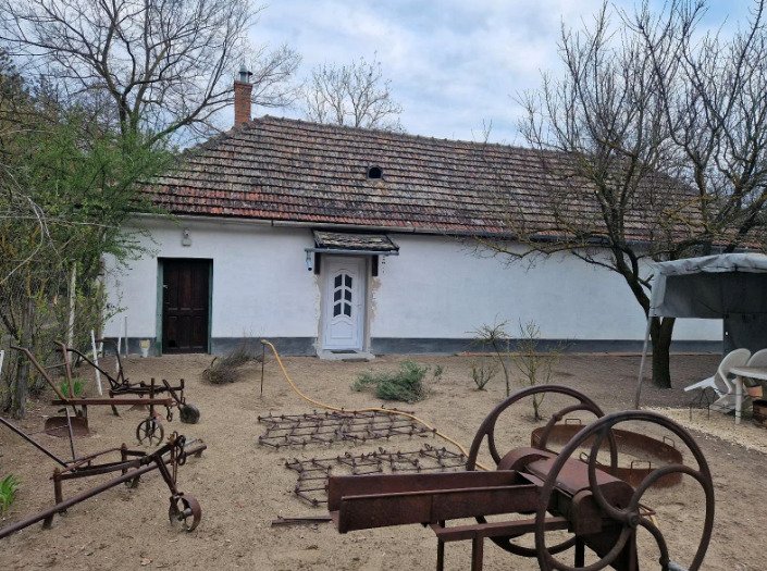 (ABA) Tanya - Vrijstaande boerderij voor veeteelt – Csengele, foto 4 van 20