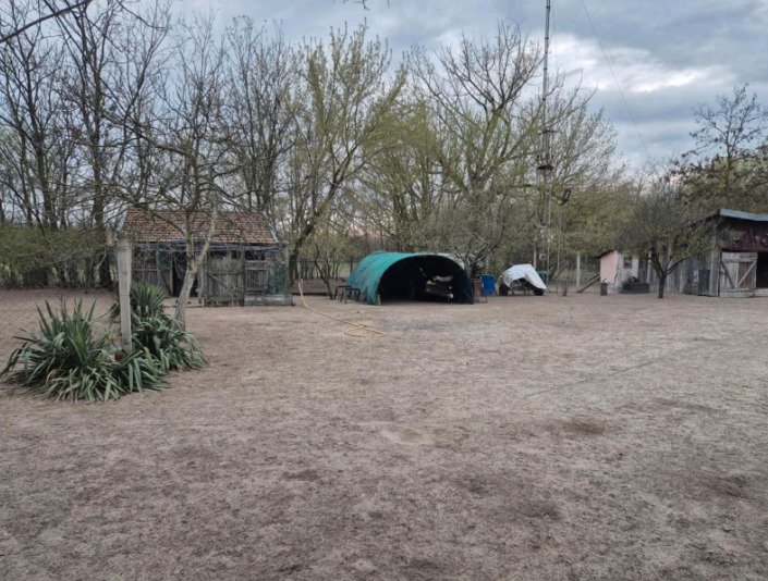 (ABA) Tanya - Vrijstaande boerderij voor veeteelt – Csengele, foto 7 van 20