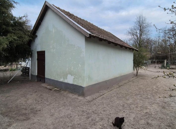 (ABA) Tanya - Vrijstaande boerderij voor veeteelt – Csengele, foto 17 van 20