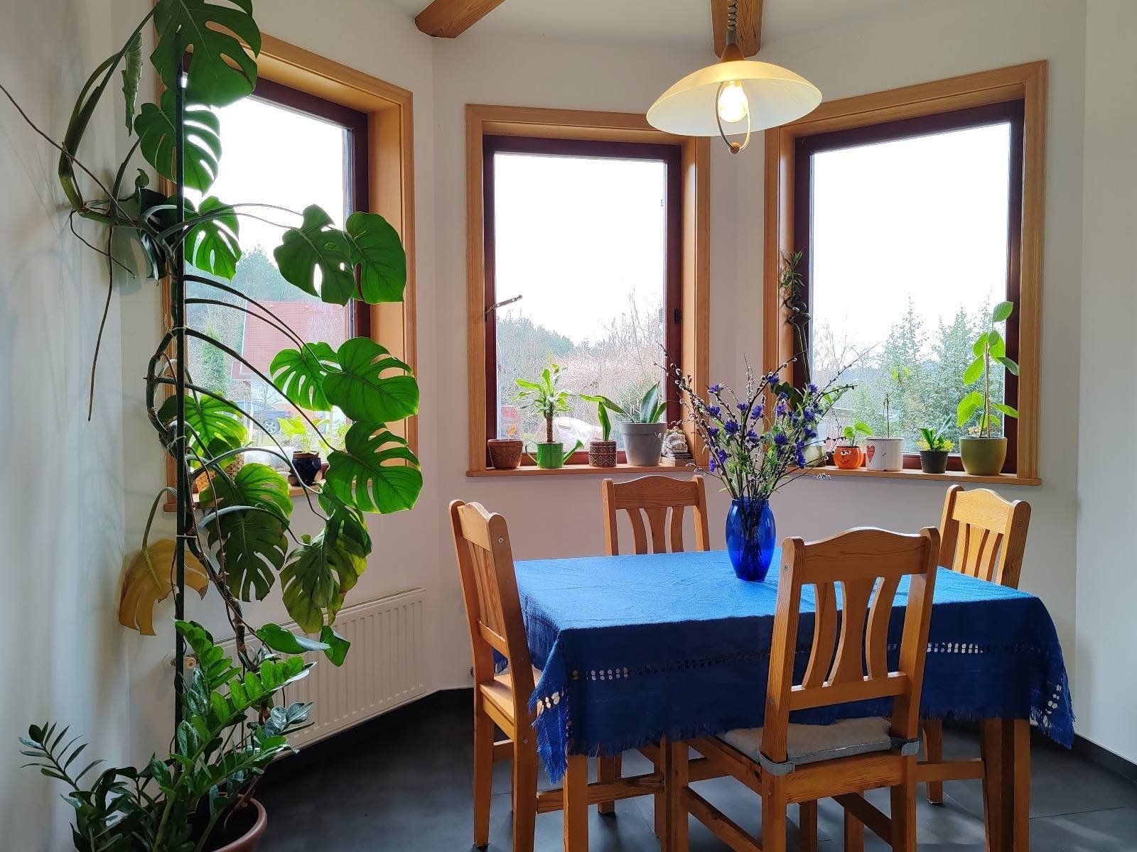 (AAA) Gepflegtes Familienhaus mit Panoramablick Nähe Österreich – Szentgotthárd, Bild 4 von 16