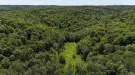Waldgrundstück 8,2 ha in Felsőszölnök, Őrség – Oberes Szölnök, foto 7 van 40