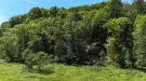 Waldgrundstück 8,2 ha in Felsőszölnök, Őrség – Oberes Szölnök, foto 10 van 40