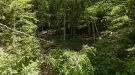 Waldgrundstück 8,2 ha in Felsőszölnök, Őrség – Oberes Szölnök, foto 11 van 40