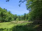 Waldgrundstück 8,2 ha in Felsőszölnök, Őrség – Oberes Szölnök, foto 19 van 40