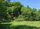 Waldgrundstück 8,2 ha in Felsőszölnök, Őrség – Oberes Szölnök, foto 21 van 40