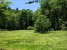 Waldgrundstück 8,2 ha in Felsőszölnök, Őrség – Oberes Szölnök, foto 25 van 40