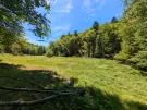 Waldgrundstück 8,2 ha in Felsőszölnök, Őrség – Oberes Szölnök, foto 27 van 40